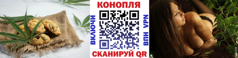 omg как зайти  Высоковск  Cannafood марихуана 