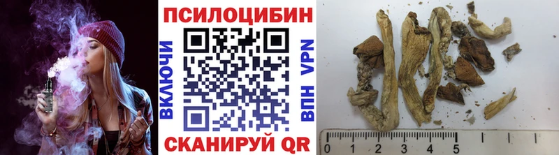 Псилоцибиновые грибы Psilocybe  хочу наркоту  Высоковск 